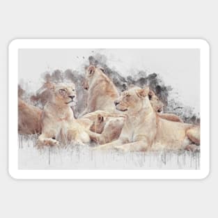 Lioness Lion Animal Wild Africa Jungle Safari Wildlife Sticker